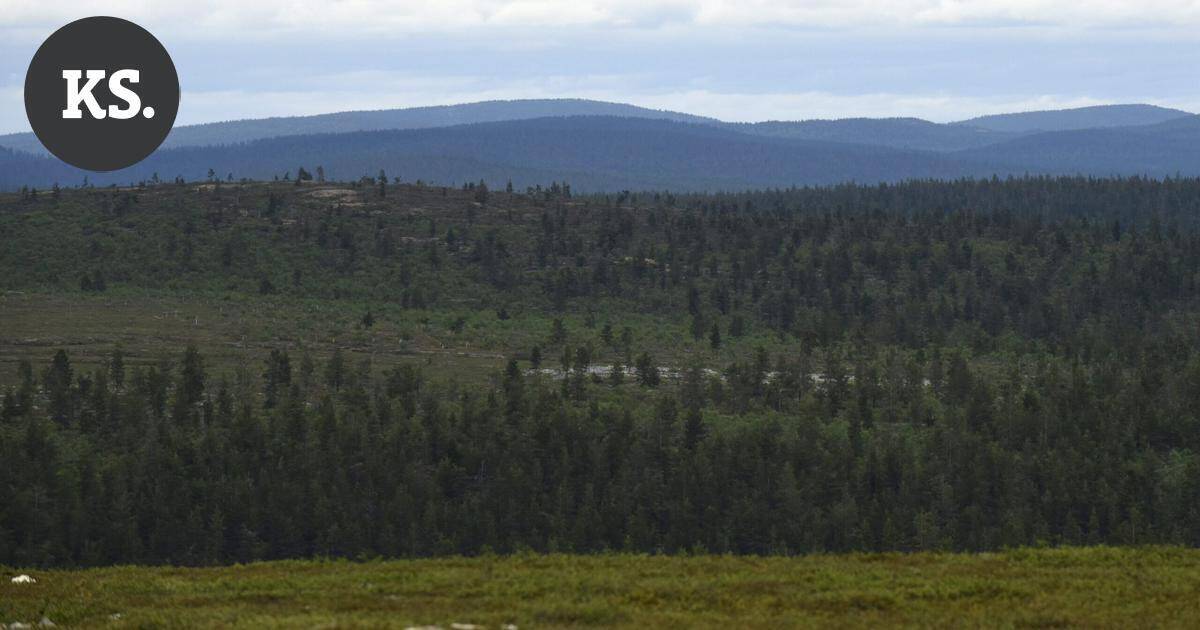 Luonnonperintösäätiölle lahjoitettiin 21 hehtaarin suojelualue Ivalossa | Uutissuomalainen