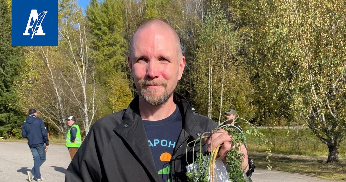 Tamperelaismies kasvatti viemäriputkessa ennätysporkkanan – näin se tapahtui