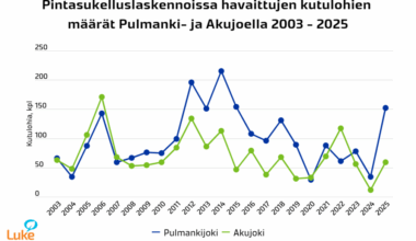 Tenojoelta valonpilkahdus - ePressi