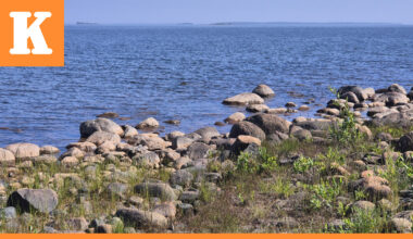 Raportti: Suomen ympäristön tilassa on useita ongelmia – Haasteina heikentyneet hiilinielut ja luontokadon jatkuminen