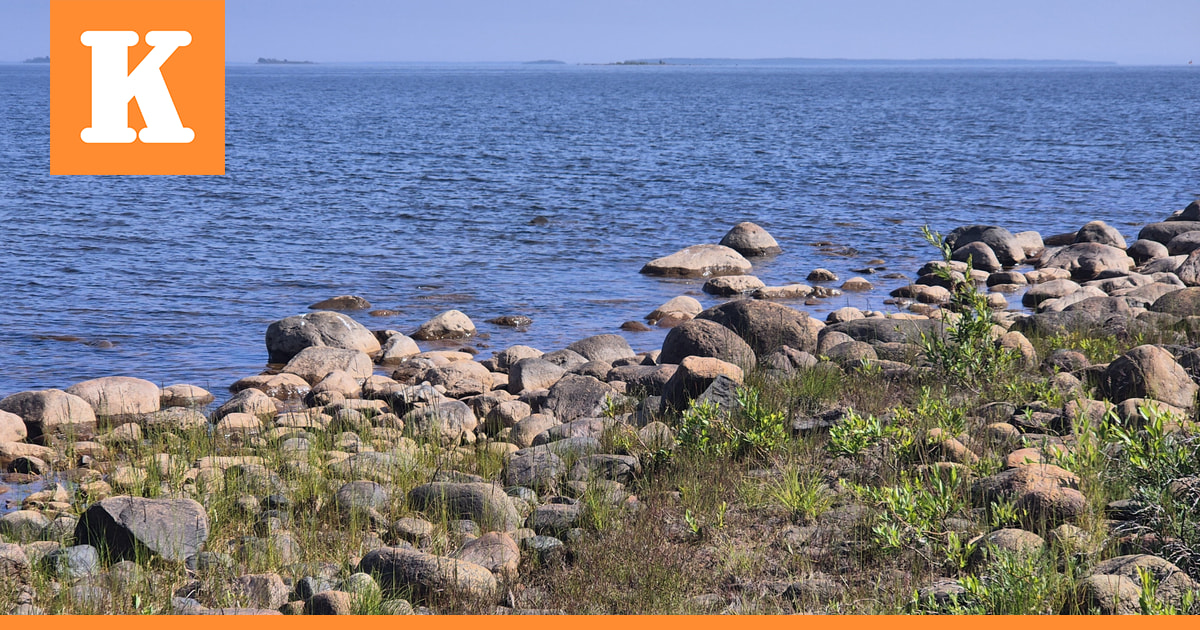 Raportti: Suomen ympäristön tilassa on useita ongelmia – Haasteina heikentyneet hiilinielut ja luontokadon jatkuminen