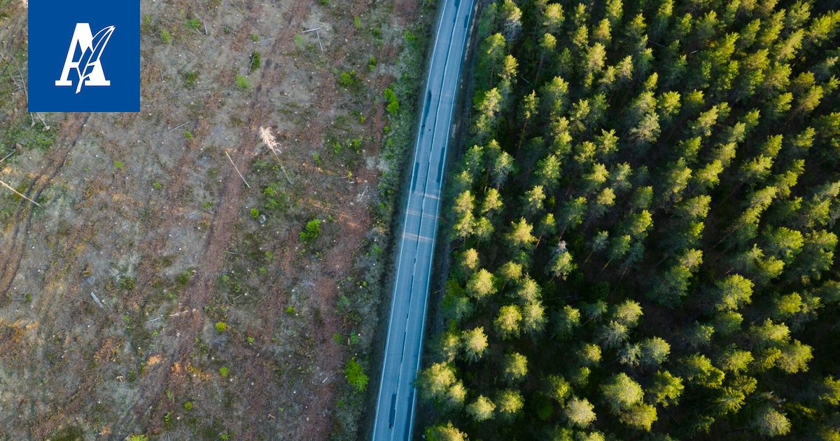 Suomen ympäristön tilassa on useita ongelmia