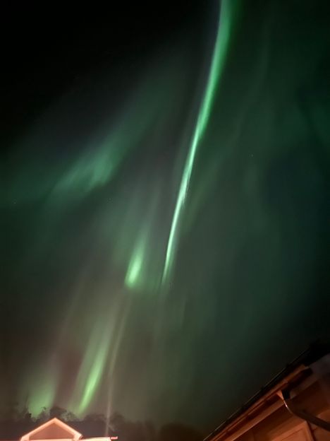 Isabellan mukaan revontulet näkyivät hienosti Muuramen Kinkomaalla.