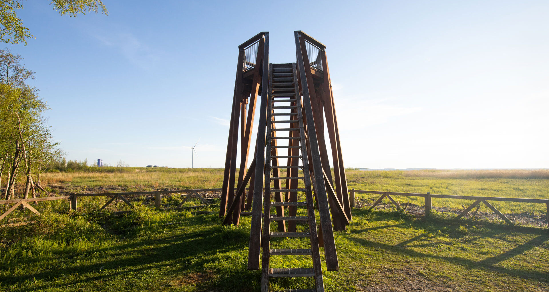 Hietasaaren rikas luonto kutsuu oululaisia tutustumaan metsäpolun antimiin – Mun Oulu