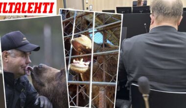 Sulo Karjalainen kohdellut karhuja erityisen raa’alla ja julmalla tavalla