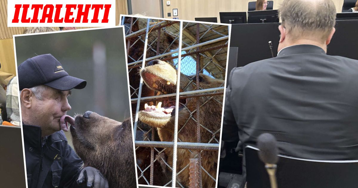 Sulo Karjalainen kohdellut karhuja erityisen raa’alla ja julmalla tavalla