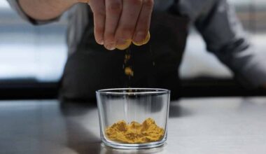 Solar Foods aikoo mullistaa proteiini­tuotannon ja tehdä ilmasta ruokaa – uusi tehdas suunnitteilla Lappeenrantaan | Talous