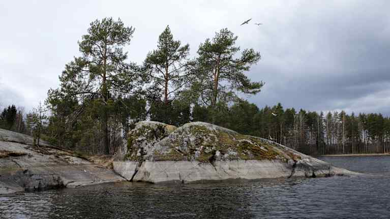 Kalliosaari Saimaalla.