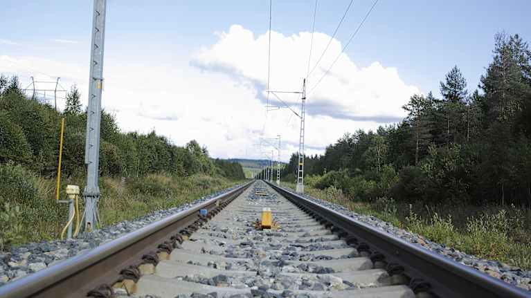 Junaraiteet metsäisissä aurinkoisissa maisemissa.
