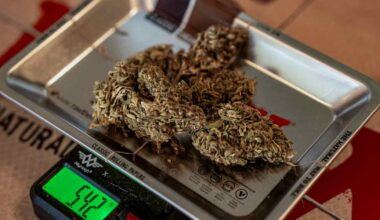 EU-komissio sallisi kevyt­kannabiksen myynnin ja maahantuonnin – Suomella edessä vaikea päätös | Ulkomaat