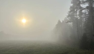 Hikinen sää jatkuu – lämmin ja kostea ilma ei päästä Suomea otteestaan | Kotimaa