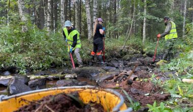 Rovaniemen keskustan tuntumassa herätellään karua puroa takaisin eloon: ”Haaveena on saada taimen takaisin” | Lappi