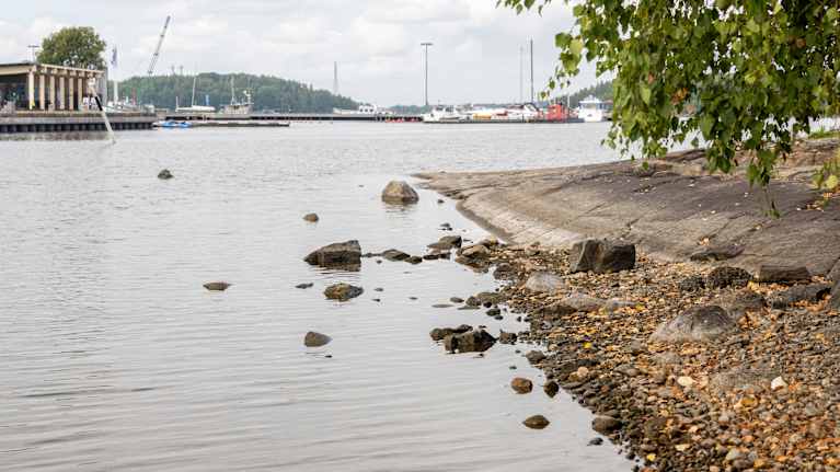 Saimaan vedenpinta on alhaalla ja rantakivet näkyvät Lappeenrannan Halkosaaressa..