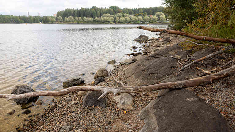 Saimaan vedenpinta on alhaalla ja rantakivet näkyvät Lappeenrannan satamassa.