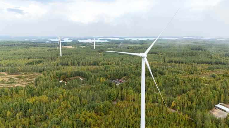 Tuulivoimaloita vehreän metsän keskellä, taustalla siintää järvimaisema.