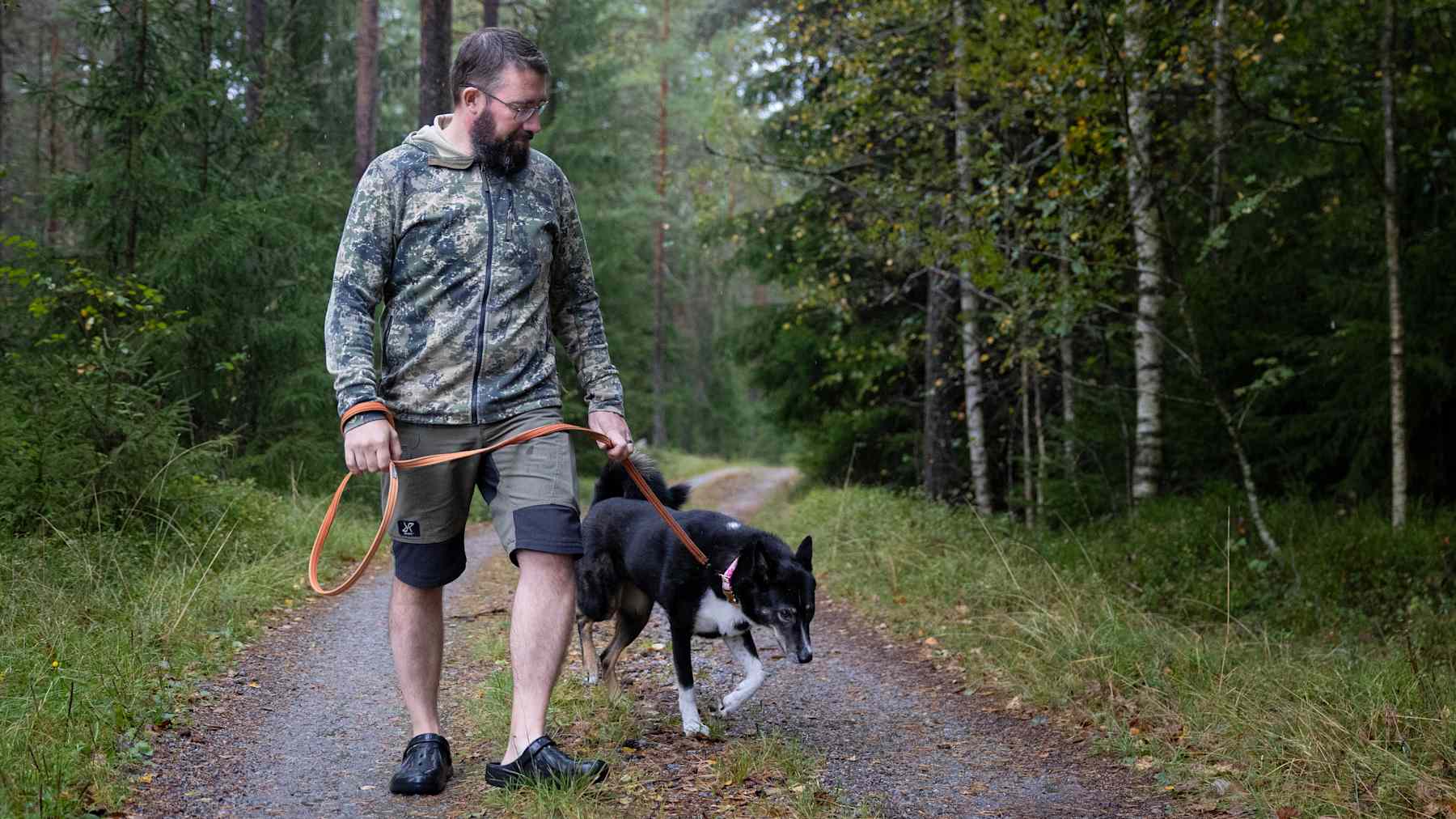 Mies taluttaa koiraa metsätiellä.