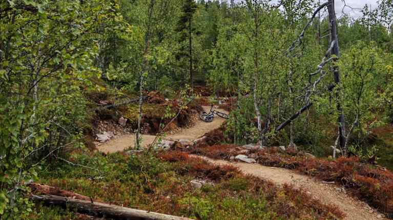 Mutkitteleva maastopyöräreitti Levin metsässä.