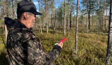 Verkon heikko signaali itärajalla kiusaa porotaloutta – kaikki petojen tappamat pantaporot eivät löydy | Kotimaa