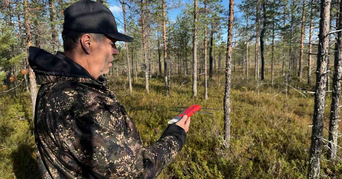 Verkon heikko signaali itärajalla kiusaa porotaloutta – kaikki petojen tappamat pantaporot eivät löydy | Kotimaa