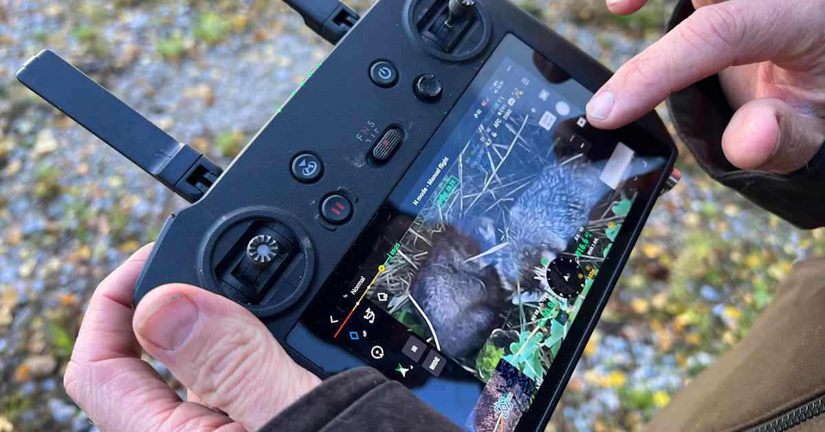 Video näyttää, miten supikoirien hävittäminen mullistui – pesäpaikka löytyi hetkessä droonilla | Varsinais-Suomi