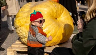 Valtavat kurpitsat, sipulit ja kurkut hämmästyttivät jättikasvisten SM-kilpailuissa – katso kuvat - Yle