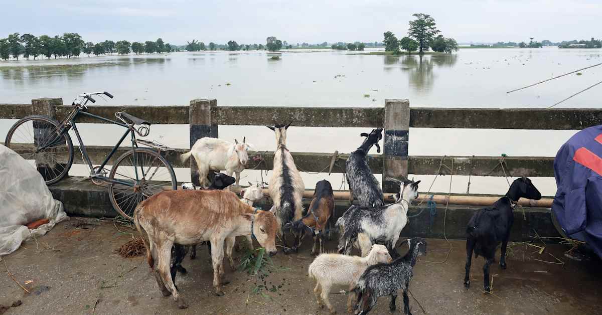 Intia pelkää Kiinan ”vesipommeja” – aikoo rakentaa jättipadon suojaamaan hyökkäyksiltä | Uutisia lyhyesti