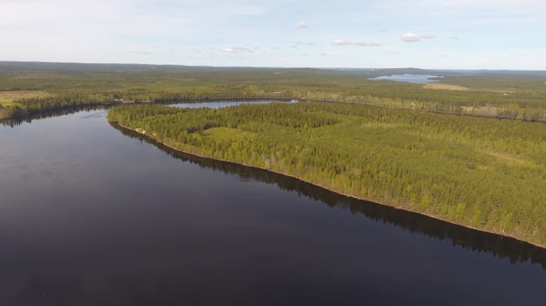 Sieriniemi Kemijoessa Rovaniemellä 1.6.2021