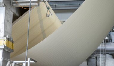 ”Meillä on erittäin paljon tietoa kaikista vaikutuksista” – mursimme metsäkeskustelun myyttejä – KU