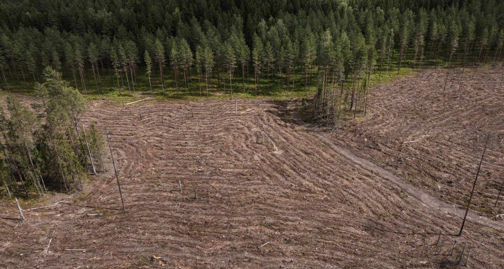 Euroopan luonnon tila on surkea – vaarantaa talouden, terveyden ja turvallisuuden – KU