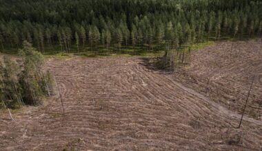 Euroopan luonnon tila on surkea – vaarantaa talouden, terveyden ja turvallisuuden – KU