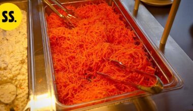 Servican toimitusjohtaja irtisanoutui | Savo