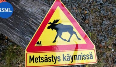 Sudet raatelivat Urmas-koiran hengiltä | Uutissuomalainen