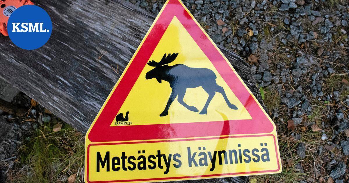 Sudet raatelivat Urmas-koiran hengiltä | Uutissuomalainen