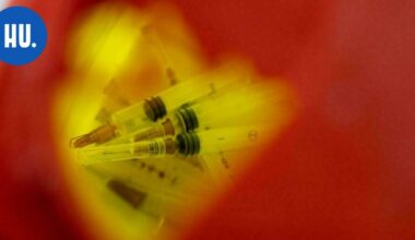 T24 | Huumeruiskuista löytyi järkyttävää ainetta Virossa | Teemat