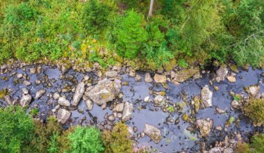 Heinävedestä ja Palokista tekeillä dokumenttielokuva – Rapid River hakee Heinäveden kunnalta tukea elokuvalle | Paikalliset