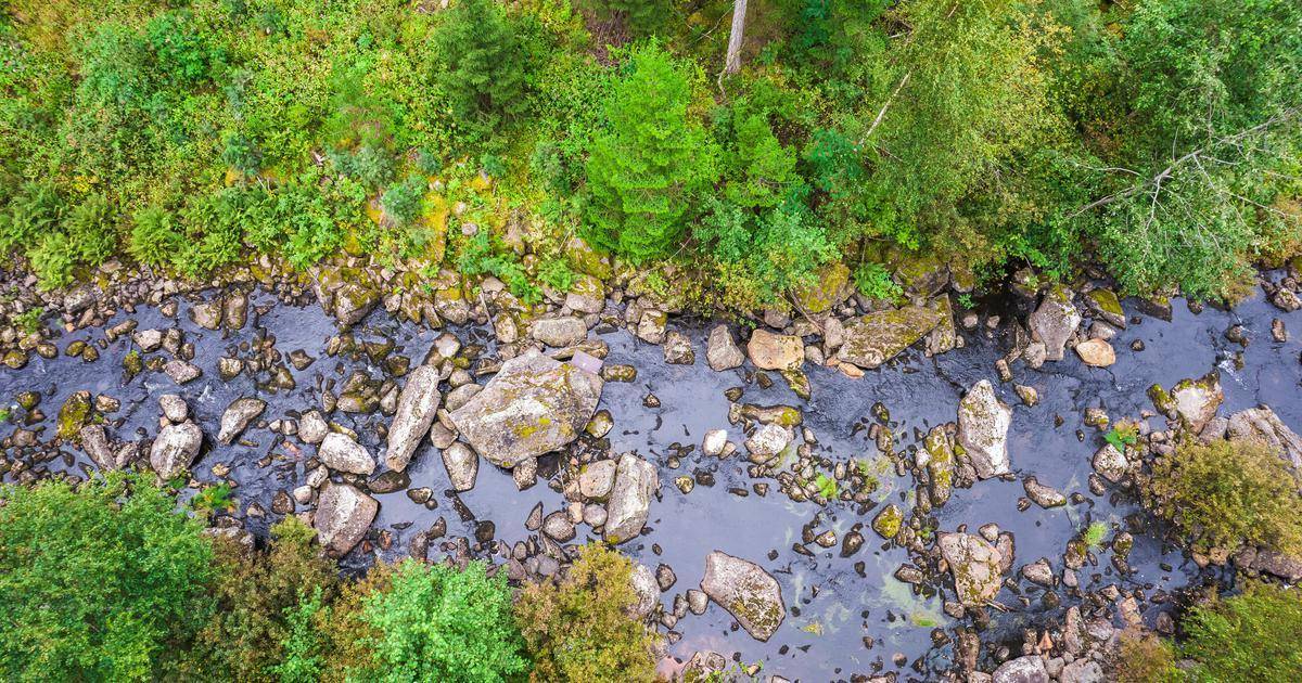 Heinävedestä ja Palokista tekeillä dokumenttielokuva – Rapid River hakee Heinäveden kunnalta tukea elokuvalle | Paikalliset