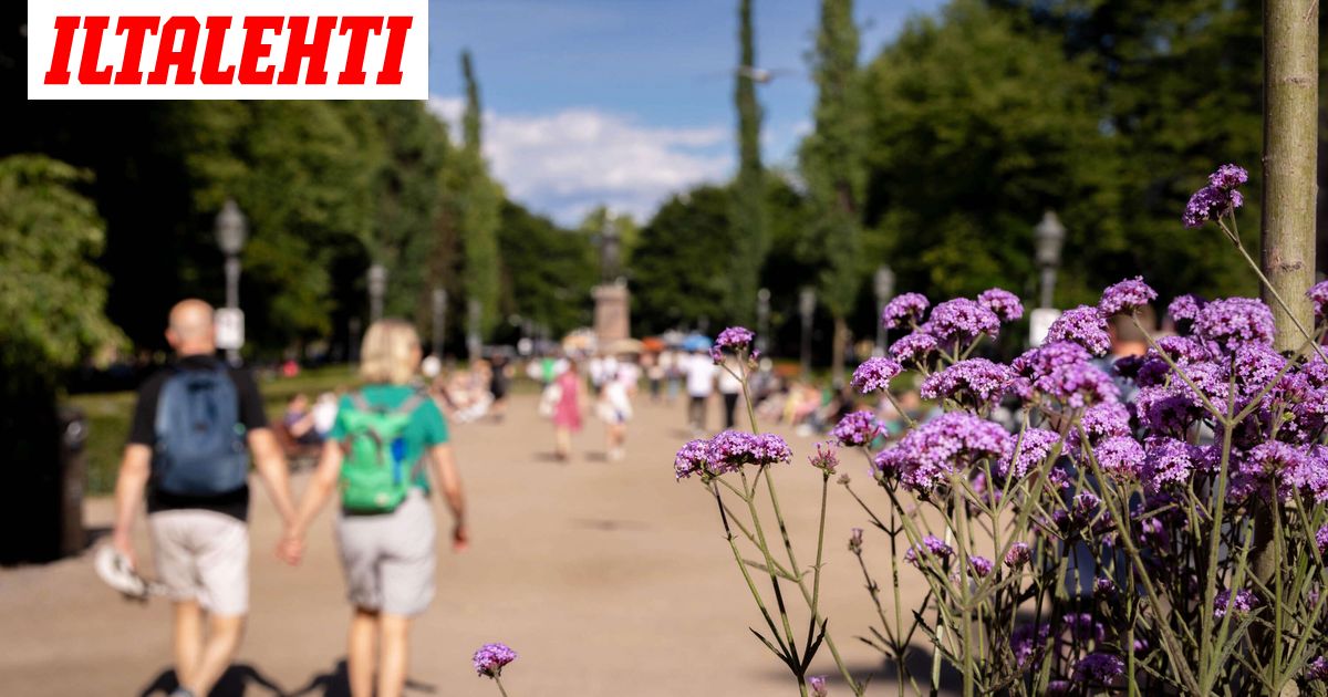 Nyt se lämpö tulee - Iltalehti