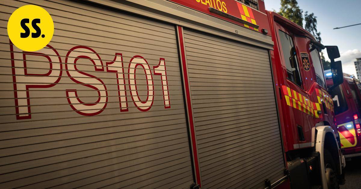 Puita kaatuili pitkin Savoa – Vahingot jäivät pelättyä pienemmiksi | Savo