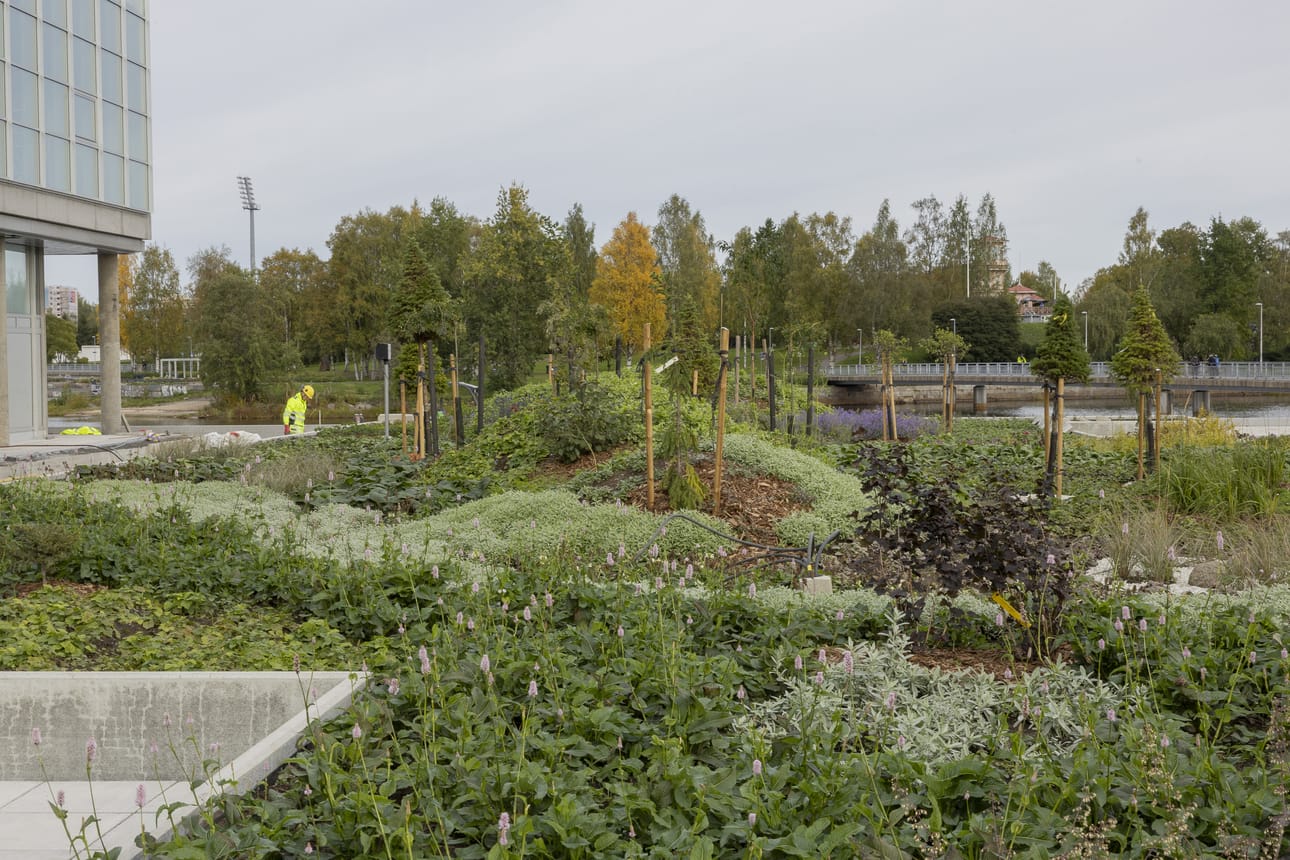 Sininen saari on Oulun pääkirjaston eli keskustakirjasto Saaren meneillään olevaan peruskorjaukseen liittyvä prosenttitaideperusteinen taidehankinta.
