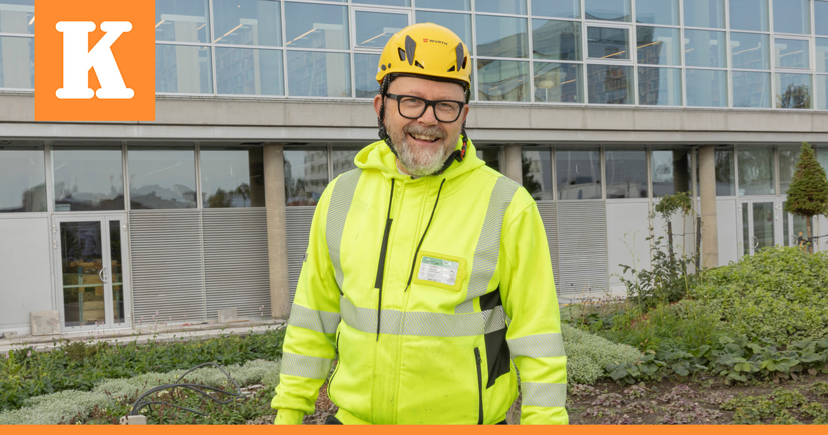 Sininen saari kasvoi pääkirjaston edustalle – Urho Kähkösen ympäristötaideteokseen tarvittiin yli 4 600 kasvia