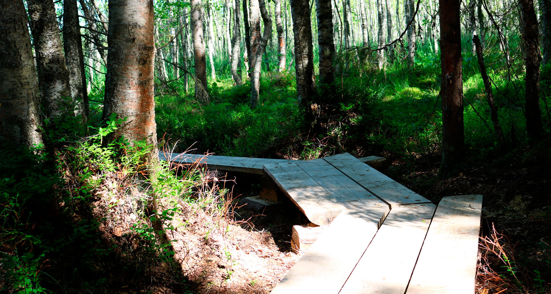 Oulu mukaan Luontoviisaat kunnat -verkostoon – auttaa luonnon monimuotoisuuden säilyttämisessä – Mun Oulu