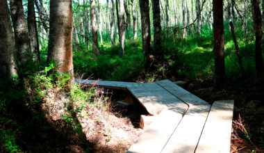 Oulu mukaan Luontoviisaat kunnat -verkostoon – auttaa luonnon monimuotoisuuden säilyttämisessä – Mun Oulu