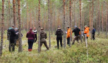 Metsäkeskus vastaa metsänomistajien toiveisiin – koulutusta tarjolla metsänhoidosta sukupolvenvaihdoksiin - Metsä
