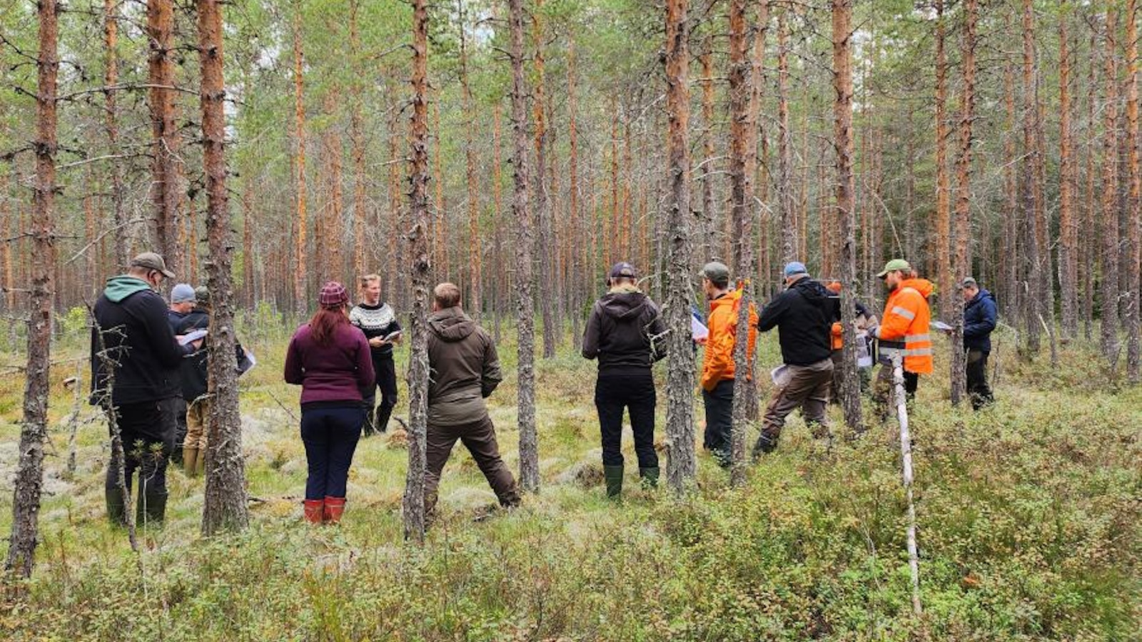 Metsäkeskus vastaa metsänomistajien toiveisiin – koulutusta tarjolla metsänhoidosta sukupolvenvaihdoksiin - Metsä