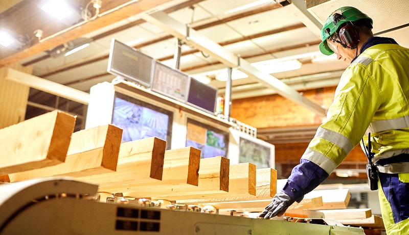 UPM metsäyhtiö Timber