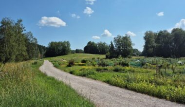 Varsanpuisto [Tampereen kaupunki - Luonto ja ympäristö