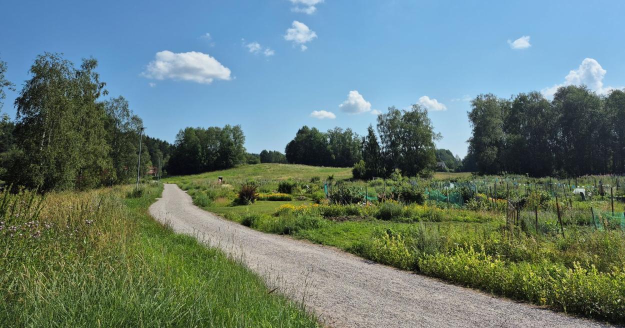 Varsanpuisto [Tampereen kaupunki - Luonto ja ympäristö