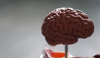 Tutkimus: Alzheimer-diagnoosi voi tulevaisuudessa onnistua ihokudoksesta
