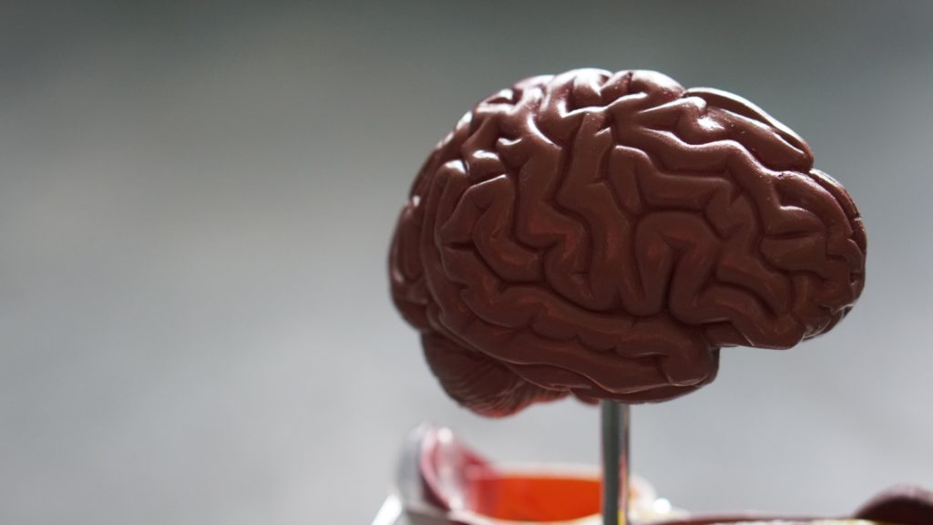 Tutkimus: Alzheimer-diagnoosi voi tulevaisuudessa onnistua ihokudoksesta