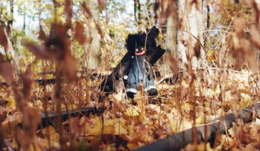 Arvio: Kolonialis­min traumat seuraavat Billy Woodsin väkevän, synkän ja ravistelevan Golliwogin kertojahahmoja